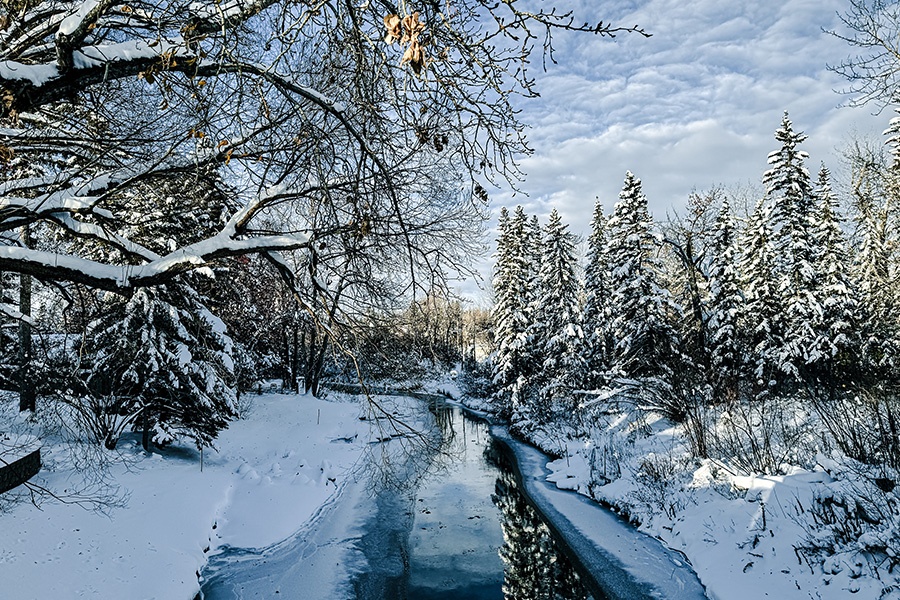 Elbow River Trail, Scenery, Hiking, Nature, Calgary, Winter
