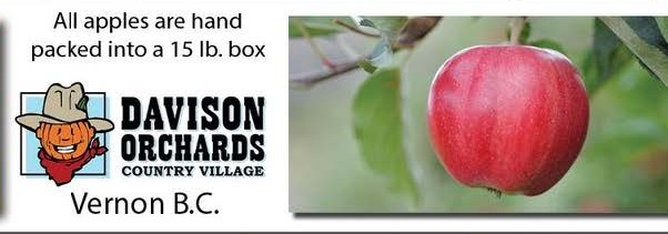 Elboya School Apples 2026 crop